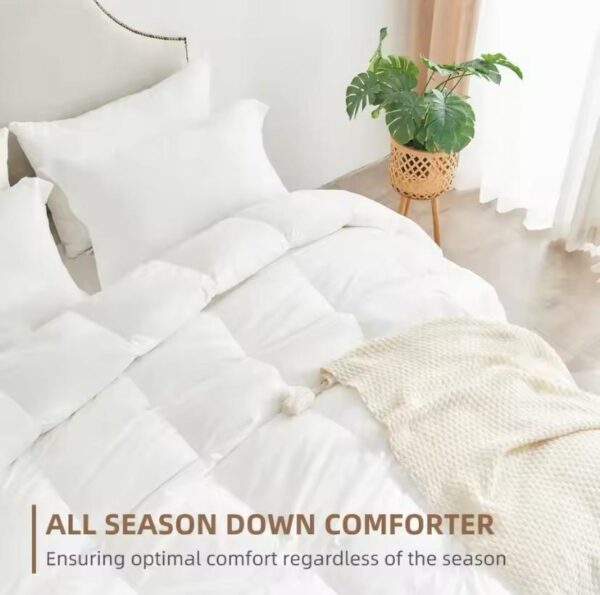 all season white duvet