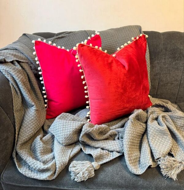 Decorative throw pillow