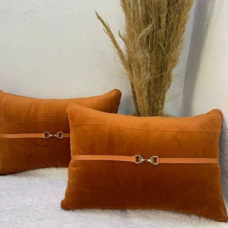 Velvet Decorative Throw Pillow and Insert- Decorative Throw Pillow for Couch, Sofa, Chair Bed Office (14 x20 inch)